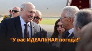 Букет из роз и красная дорожка! Посмотрите, как Лукашенко встречали в Алжире!