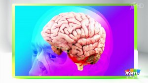 Мозг не стареет - если тренировать его. Жить здорово! Фрагмент выпуска от 02.12.2025