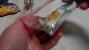 Всем опять привет и спс за 16 подписчиков  . В прошлый раз я выложила не тот видос чит описание .