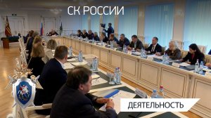 Проведено заседание Координационного совета СК России по вопросам оказания помощи детям