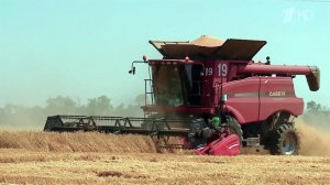 Урожай зерновых в 2025 году будет одним из самых значительных в новейшей истории РФ, заявил Патрушев