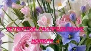 4 распределение ноября 🍁14100