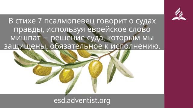 3 декабря 2025. Заповеди для жизни. Под сенью благодати | Адвентисты