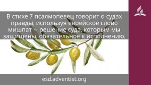 3 декабря 2025. Заповеди для жизни. Под сенью благодати | Адвентисты