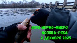 #293 Мормо Микро Москва-река в городе 2 декабря 2025