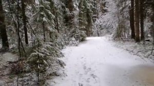 Вот так и живём... Ноябрь. Вторая половина