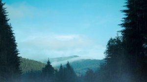 Отключи голову на ночь (плейлист расслабляющей музыки)