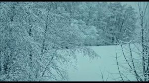 Призрачные земли - 2025 (12)