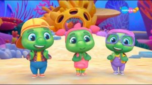 Карусель Анонс Черепашки (26.06.2025)