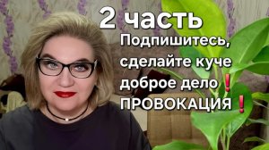 Подпишитесь, сделайте куче доброе дело❗️ПРОВОКАЦИЯ❗️