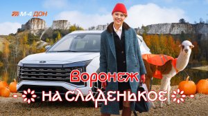 На сладенькое. В Воронеж по М-4 «Дон». Выпуск 5