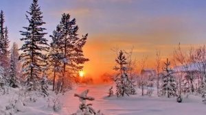 С добрым зимним утром,друзья! Трогательная музыкальная открытка.