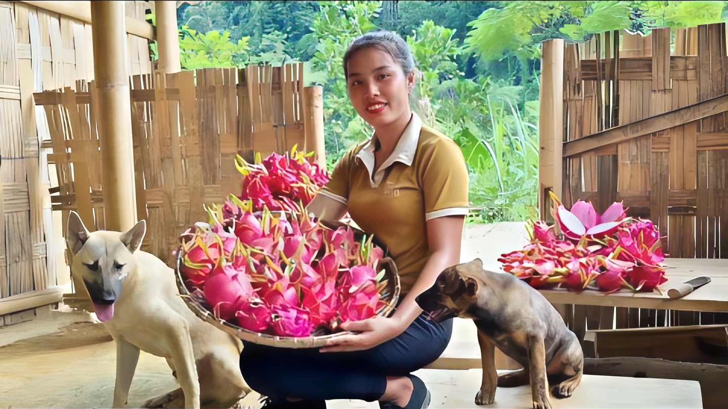 Собираю урожай драконьих фруктов в саду, чтобы отвезти на рынок для продажи. Делаю гнезда для утят