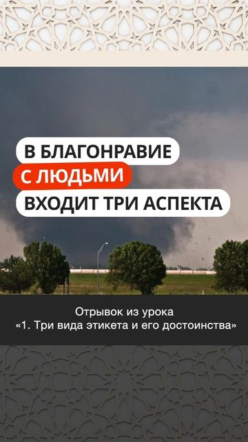 В благонравие с людьми входит три аспекта || Марсэль абу Али #религия #нравы #этикет