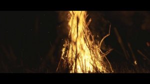 Миша гонщик - Сорок сороков (Официальная премьера клипа)