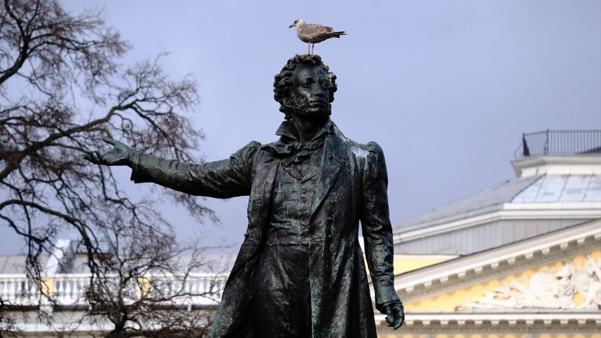 Борьба с гуано: в Петербурге чиновники объявили войну птицам