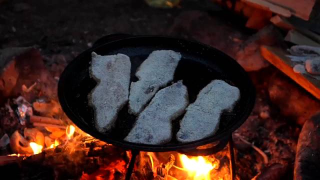 АВТОНОМКА В КАРЕЛИИ. ПИТАЕМСЯ РЫБОЙ. КОТЛЕТЫ ИЗ ЩУКИ. ОКУНЬ В КОПТИЛКЕ.ЧАСТЬ 4