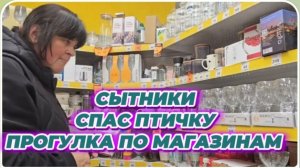 САМВЕЛ АДАМЯН, СЫТНИКИ, СПАС ПТИЧКУ, ПРОГУЛКА ПО МАГАЗИНАМ..