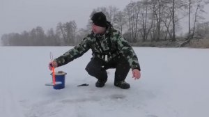 ВОТ ТАКОГО Я ТОЧНО НЕ ОЖИДАЛ. НАШЕЛ ЩУЧЬЮ ТРОПУ и понеслось! Рыбалка на балансир 2025