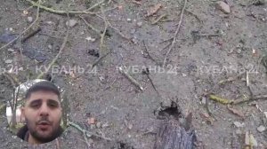 На Кубани в течение дня подсчитают ущерб от атаки БПЛА ночью 2 декабря