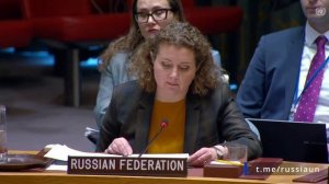 А.М.Евстигнеева на Совете Безопасности ООН по ситуации в Ираке, Нью-Йорк, 2 декабря 2025 года