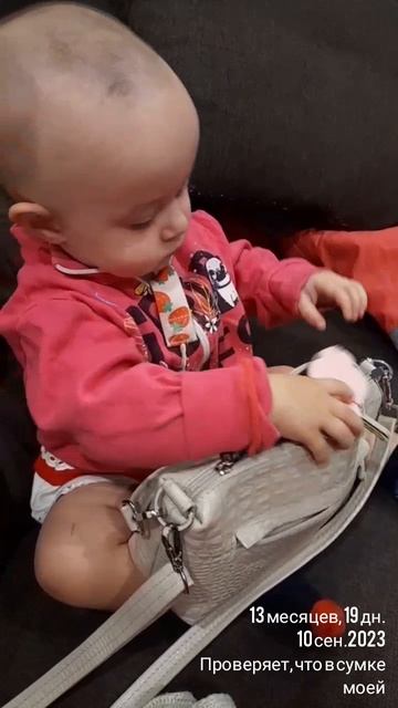 13 мес.,19 дн.Проверяет, что в сумке Маминой (10 сен.2023).mp4