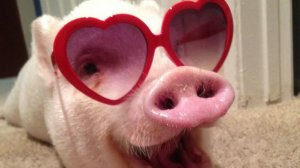 Разговорный стрим