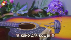 Видео для кошек про крысок развлекать питомцев 🐭🐀😂 (393)