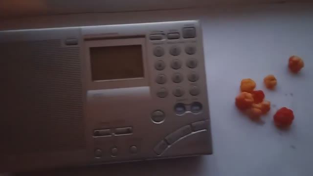 7140 kHz Dimtsi Hafash 1 - Voice of the Broad Masses (Asmara, ERI) 05.08.2021 (part two)