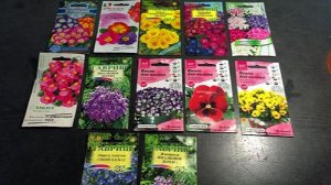 Посылка с СЕМЕНАМИ ЦВЕТОВ.