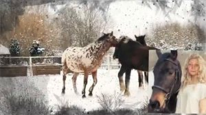 Ах, метель-судьбы хозяйка!