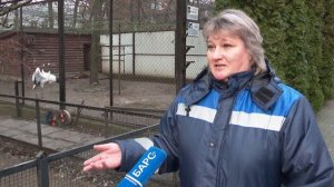 Раскроем секрет: почему хищники в зоопарке не размножаются?