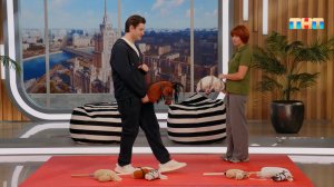 Познакомимся поближе с хоббихорсингом вместе с тренером по конному спорту