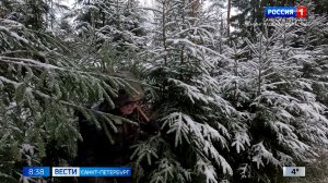 Вести Санкт-Петербург. Выпуск 08.35 от 02.12.2025