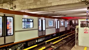 Коричневый Балтиец. Станция Девяткино