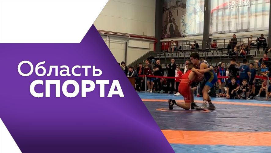 Область спорта № 339