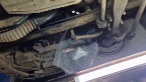 Такое увидеть не ожидал ни кто