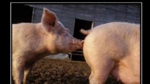 Мошенник от имени "ФСБ"