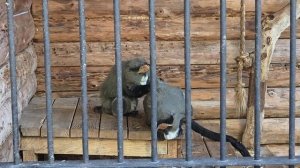 Крым гостиница Интурист