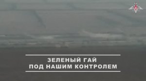 Освобождение населённого пункта Зелёный Гай в Запорожской области