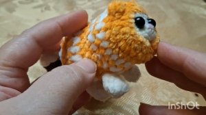 Триостарты декабря. Первый старт. Котик в корзинке