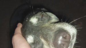 Херсонщина 2 декабря 2025