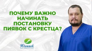 Почему важно начинать постановку пиявок с крестца?