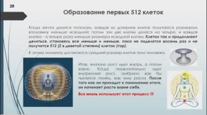 Алексей Бажин|Часть 3. Принципы организации жизни|Кризисы и уроки жизни. Базовые понятия