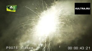 Салют "Панда" (100 залпов /калибр 0.8 дюйма)