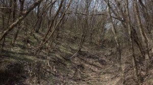 БАЛКА КАЗЕННАЯ