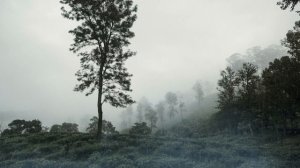 Ты устал? Просто включи и выдохни