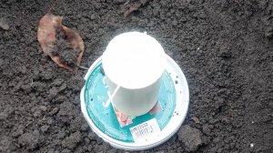 Борьба с кротом серная шашка