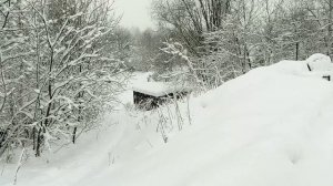 ДЕКАБРЬ НАЧАЛО ЗИМЫ СНЕГ КРУГОМ
