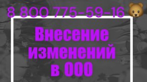 Изменения в устав ООО: как внести